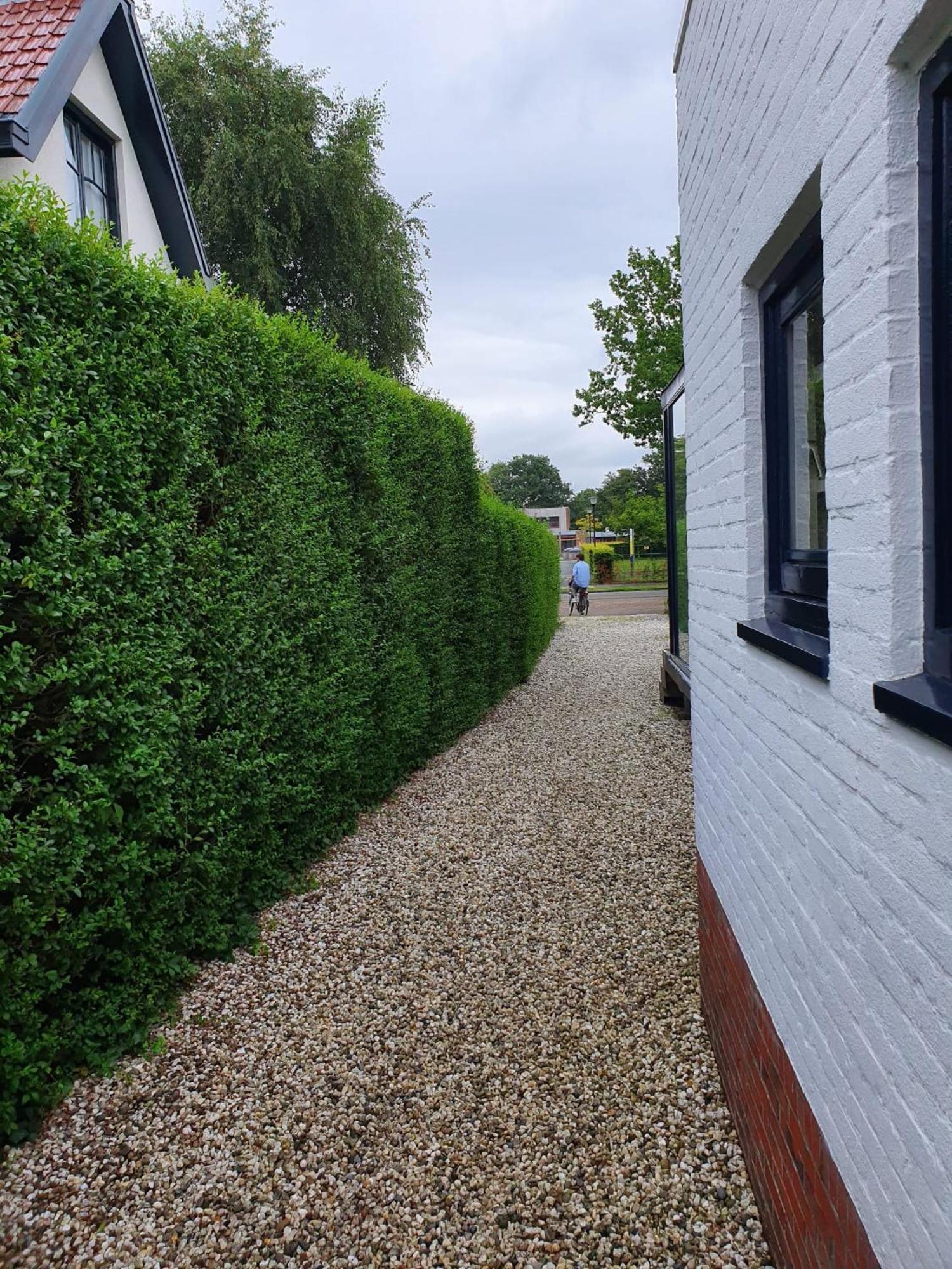 Zelfstandig Gastenverblijf In Het Groene Haren Nabij Groningen Екстер'єр фото